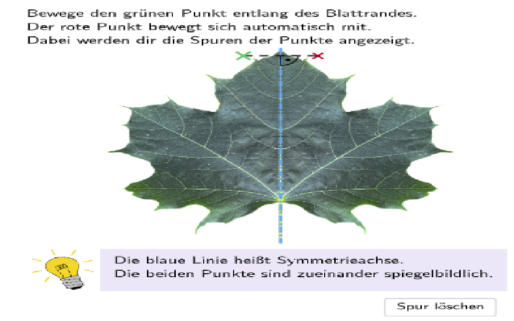 Bildvorschau