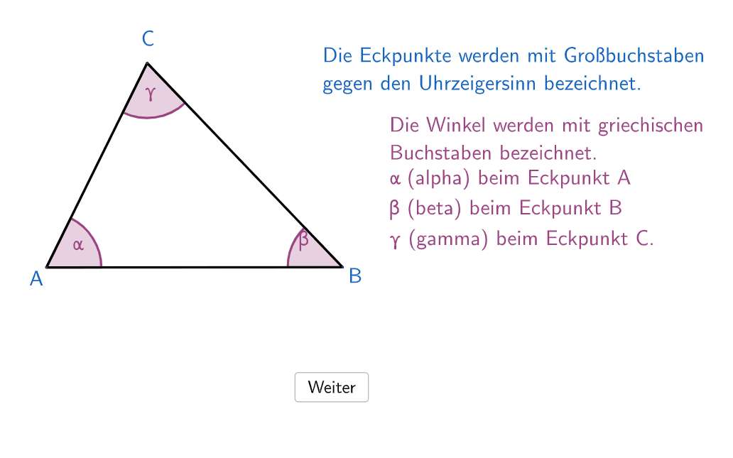 Bildvorschau
