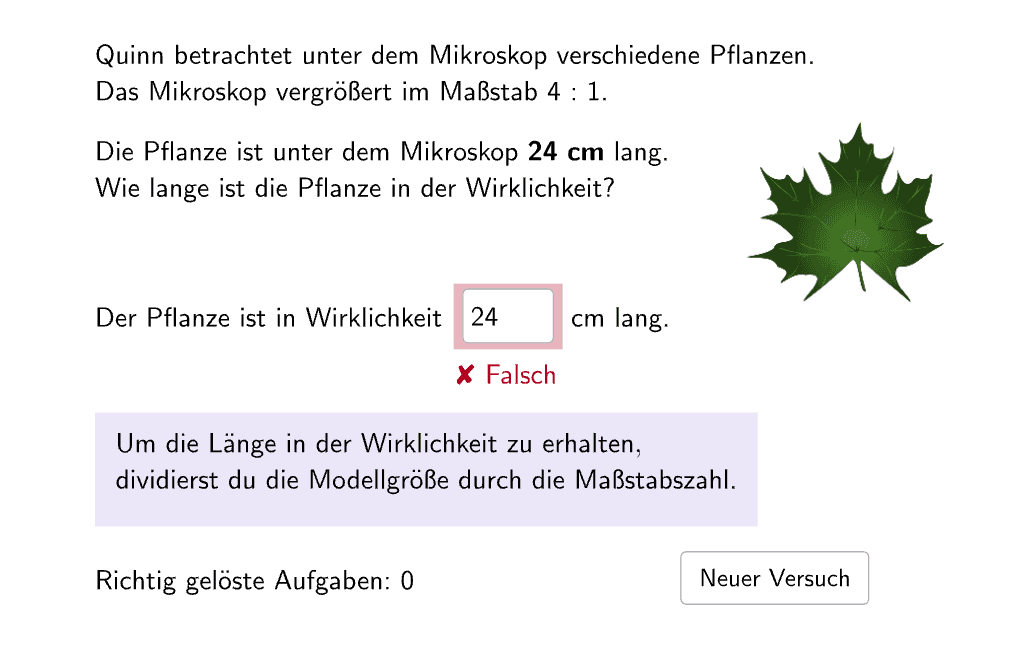 Bildvorschau