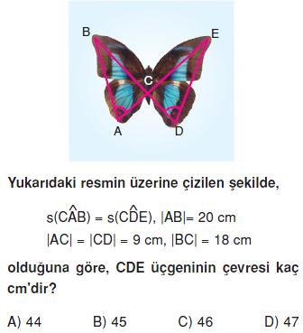 Üçgenlerde eşlik ve benzerliği kelebeklere benzetmiştik.Öğrendiklerimiz doğrultusunda aşağıdaki soruyu çözümleyiniz.