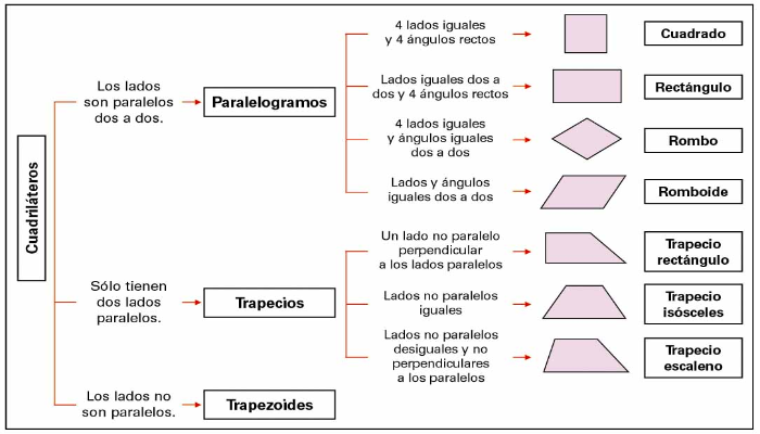 Copia el esquema en la cuadernola