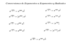 Radicales & Raíces