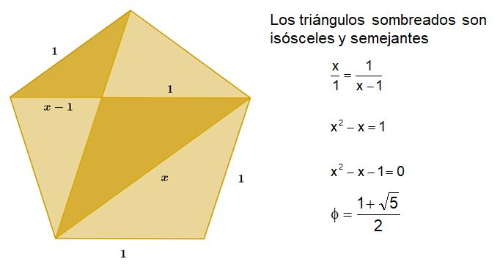 La proporción áurea aparece como la relación entre la diagonal y el lado de un pentágono regular.
