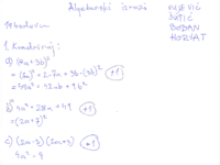 Algebarski izrazi - Grupa E4.pdf