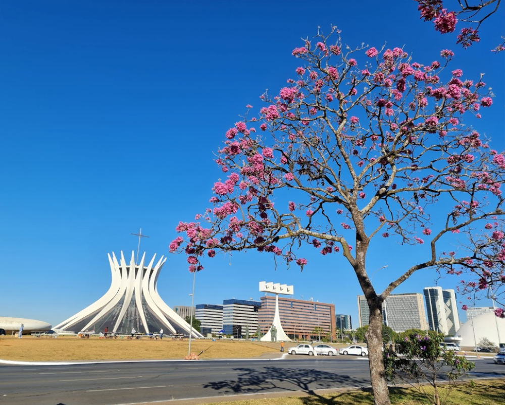 Brasilia's Catedral - Oscar Niemeyer

Foto de Olexiy Shynkarenko